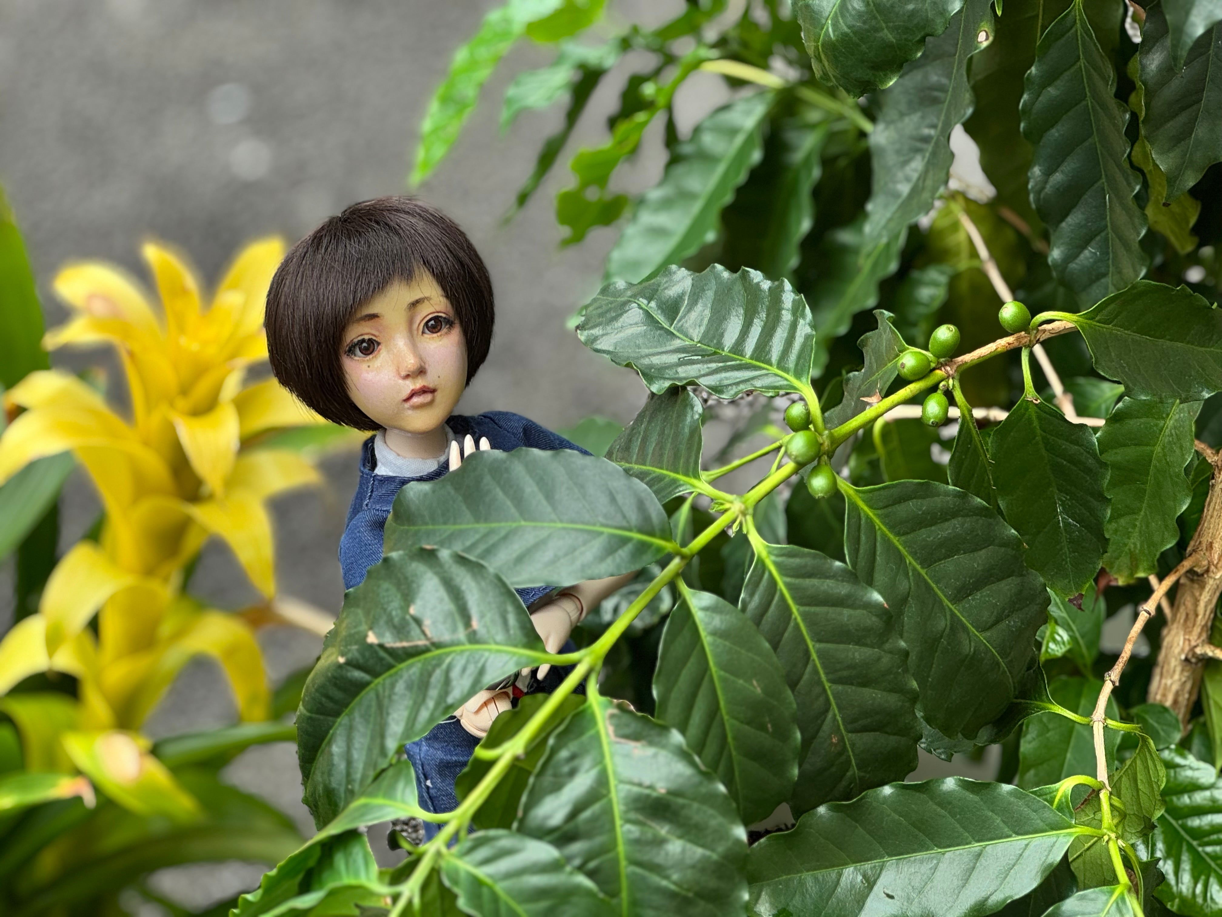 中野区のアイドル なかのさんご来店頂きました。