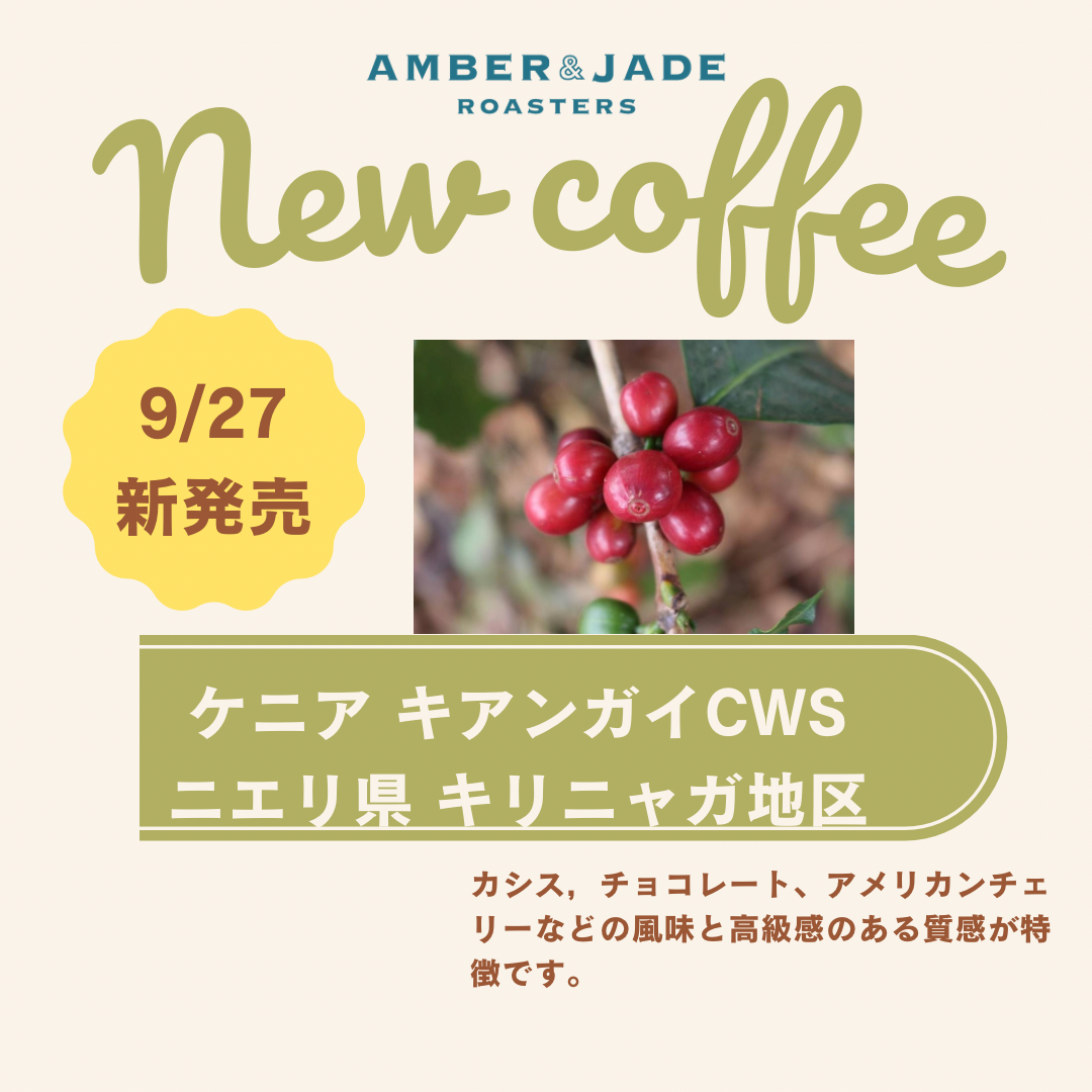 ケニア産スペシャルティコーヒー新豆発売のお知らせ。