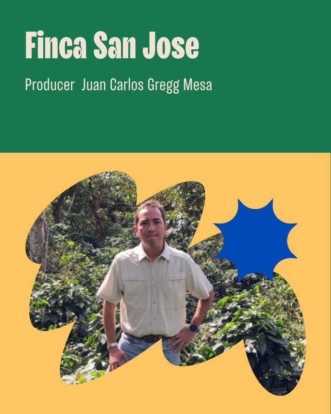 中米エルサルバドルから素晴らしいコーヒーが届きました。