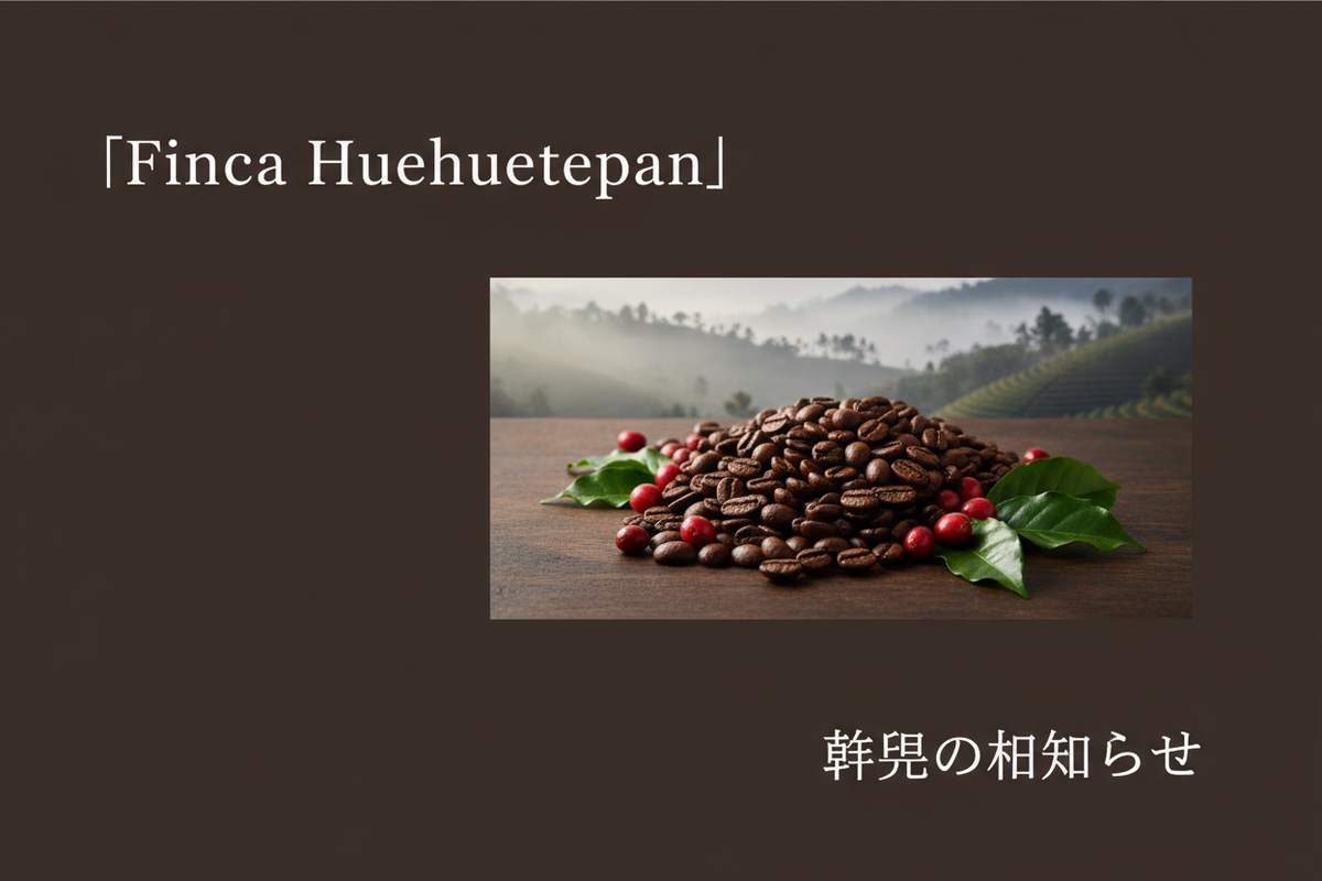 メキシコ産 Finca Huehuetepan Gesha Natural 終売のお知らせ