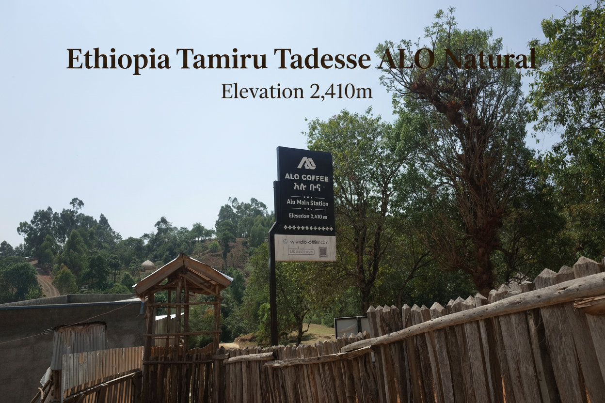 ALO COFFEEステーション