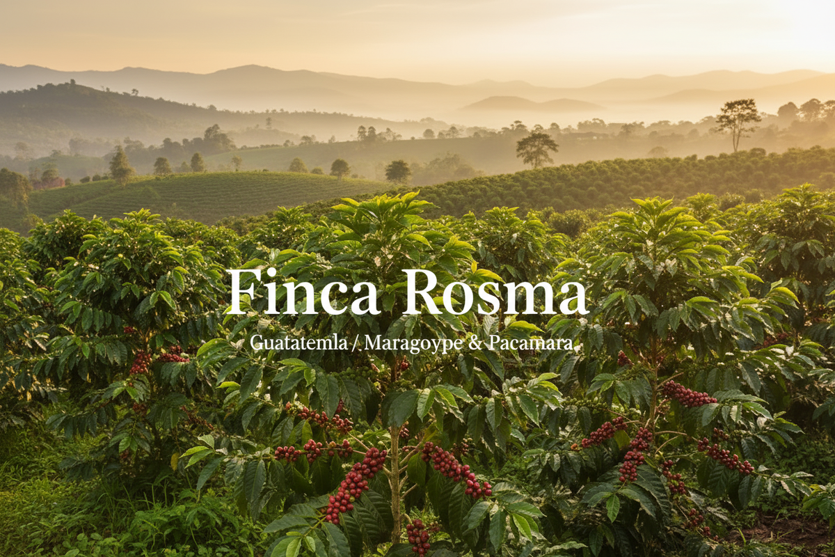 Finca Rosma バナー（タイトル入り）