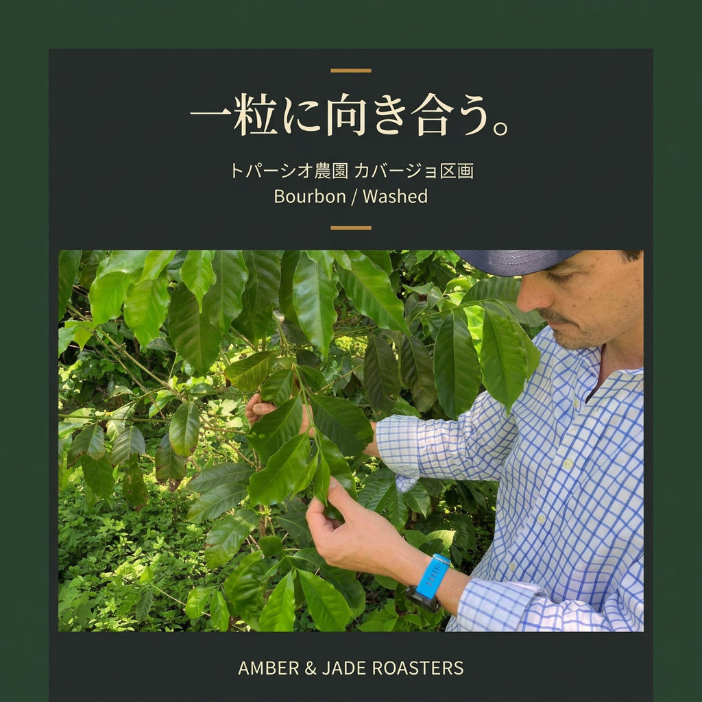 作り手と農園の紹介