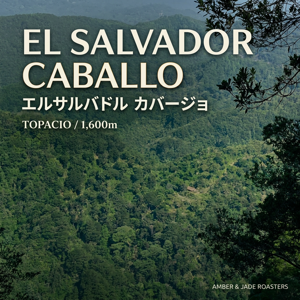 エルサルバドル カバージョの産地紹介
